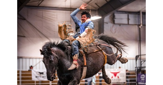 Mid-Plains Community College Rodeo Team member Kahiwa Augustiro rides a bronc during the Iowa State University Cyclone Stampede Rodeo in Ames, Iowa over the weekend. Augustiro took home the All-Around buckle after winning the average in the steer wrestling, taking second in the bull riding and ending up third in the bareback riding. (Photo courtesy of Hailey Hepperly Photography)